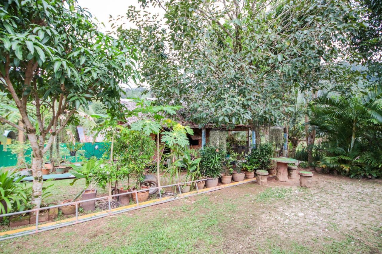 קאו לק Oyo 75312 Banana Lodge מראה חיצוני תמונה